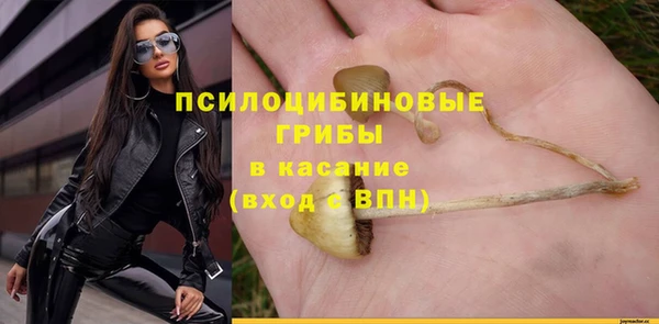 стафф Магас