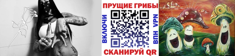 гидра ТОР  Новомосковск  Галлюциногенные грибы Magic Shrooms  закладки 
