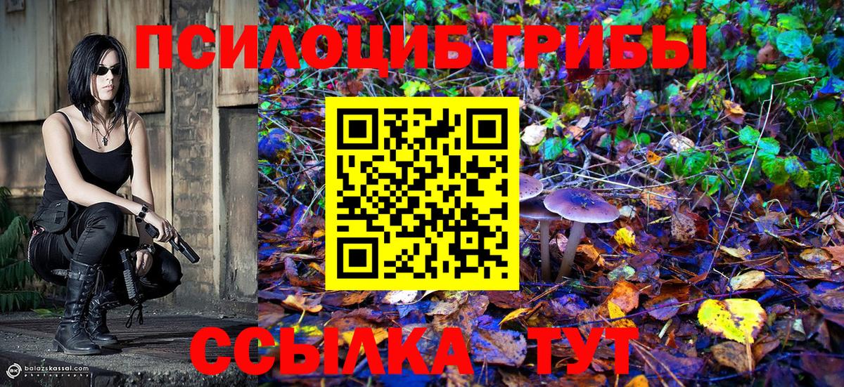 Новомосковск  Псилоцибиновые грибы прущие грибы  продажа наркотиков  Вход с VPN 