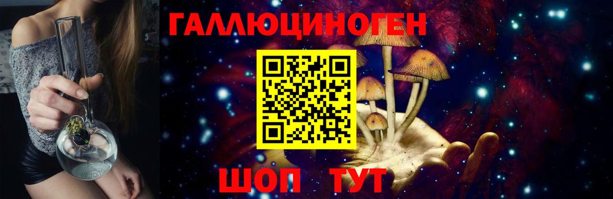 Псилоцибиновые грибы MAGIC MUSHROOMS Новомосковск